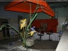 BlackSheep_0262