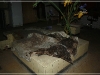 BlackSheep_0263