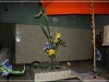BlackSheep_0264