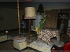 BlackSheep_0265