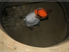 BlackSheep_0267