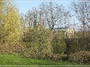 BlackSheep_0284