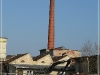 BlackSheep_0290