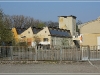 BlackSheep_0291