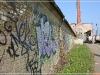 BlackSheep_0295