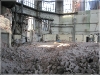 BlackSheep_0332