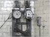 BlackSheep_0343