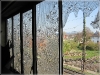 BlackSheep_0364