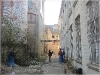 BlackSheep_0374