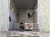 BlackSheep_0380