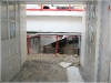 BlackSheep_0381