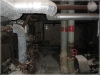 BlackSheep_0382