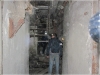 BlackSheep_0384