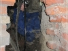 BlackSheep_0396