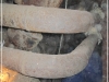 BlackSheep_0398