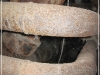 BlackSheep_0399