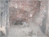BlackSheep_0409