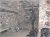 BlackSheep_0412