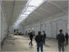 BlackSheep_0426