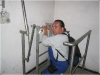 BlackSheep_0442