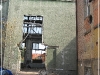 BlackSheep_0446