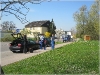 BlackSheep_0449