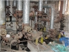 BlackSheep_0456