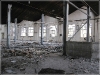 BlackSheep_0457