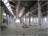 BlackSheep_0458