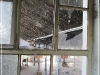 BlackSheep_0461