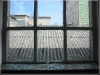 BlackSheep_0482