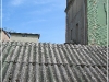 BlackSheep_0483