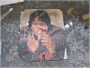 BlackSheep_0485
