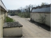 BlackSheep_0487