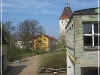 BlackSheep_0488