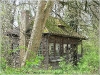 BlackSheep_0493
