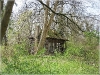 BlackSheep_0494