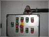 BlackSheep_0498