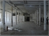 BlackSheep_0500