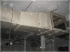 BlackSheep_0506