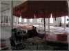 BlackSheep_0515