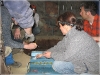 BlackSheep_0537
