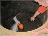 BlackSheep_0540