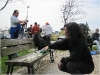 BlackSheep_0542