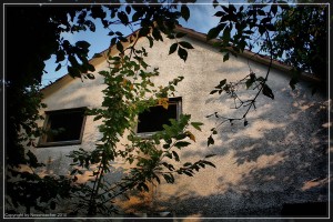 compressed_IMG_8861