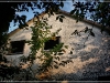 compressed_IMG_8861