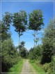 compressed_IMG_6563