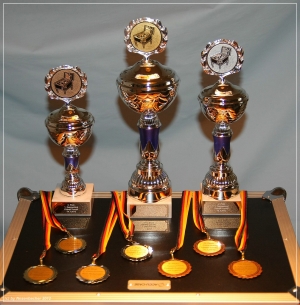 comp_pokale-1