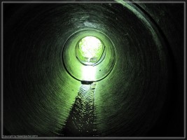 compressed_IMG_3821