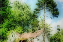 This Old House